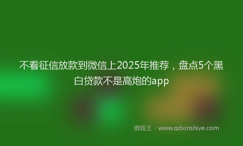 不看征信放款到微信上2025年推荐，盘点5个黑白贷款不是高炮的app