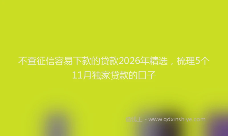 不查征信容易下款的贷款2026年精选，梳理5个11月独家贷款的口子