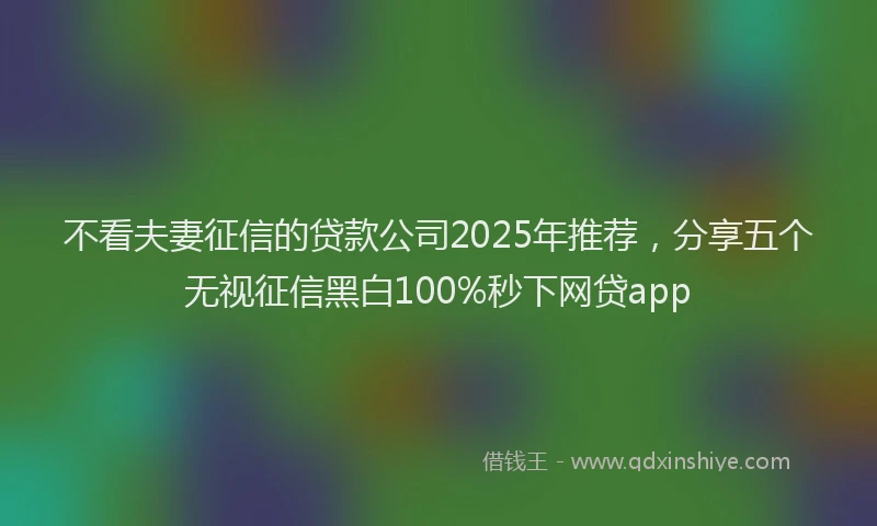 不看夫妻征信的贷款公司2025年推荐，分享五个无视征信黑白100%秒下网贷app