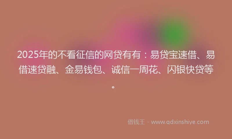 2025年的不看征信的网贷有有：易贷宝速借、易借速贷融、金易钱包、诚信一周花、闪银快贷等。