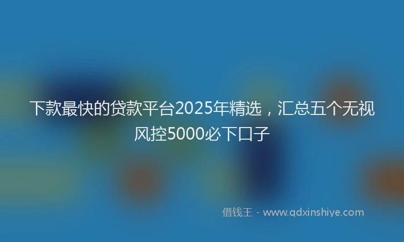 下款最快的贷款平台2025年精选,汇总五个无视风控5000必下口子