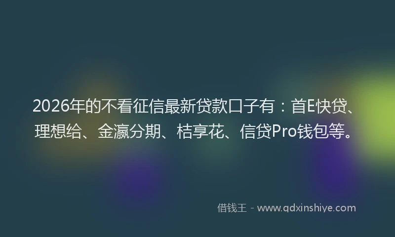 2026年的不看征信最新贷款口子有:首E快贷、理想给、金瀛分期、桔享花、信贷Pro钱包等。