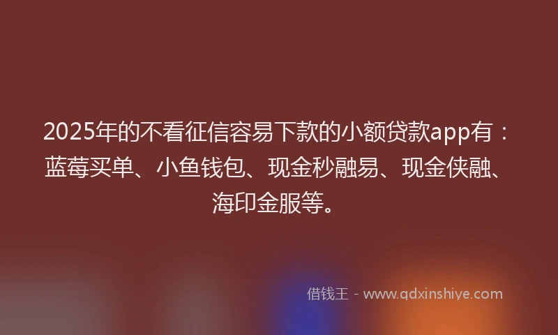 2025年的不看征信容易下款的小额贷款app有：蓝莓买单、小鱼钱包、现金秒融易、现金侠融、海印金服等。