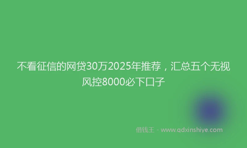 不看征信的网贷30万2025年推荐，汇总五个无视风控8000必下口子