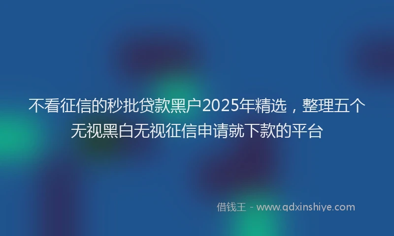 不看征信的秒批贷款黑户2025年精选，整理五个无视黑白无视征信申请就下款的平台