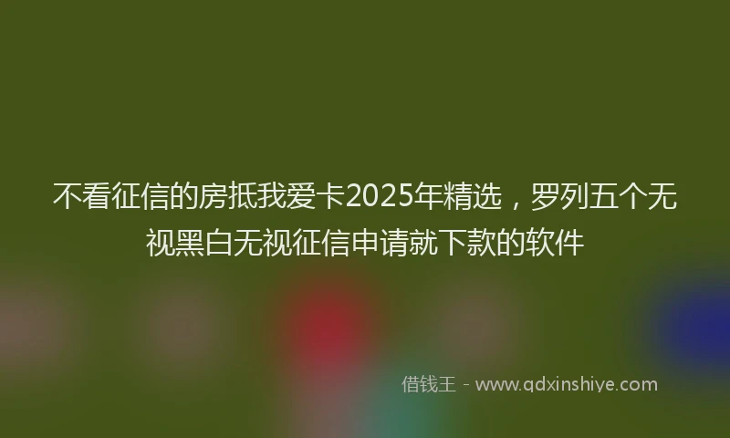 不看征信的房抵我爱卡2025年精选，罗列五个无视黑白无视征信申请就下款的软件