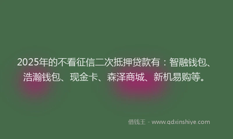 2025年的不看征信二次抵押贷款有：智融钱包、浩瀚钱包、现金卡、森泽商城、新机易购等。