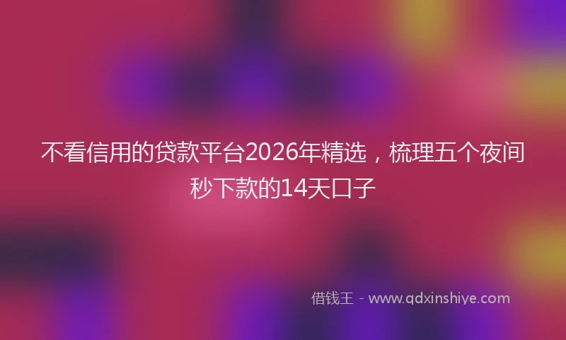 不看信用的贷款平台2026年精选，梳理五个夜间秒下款的14天口子