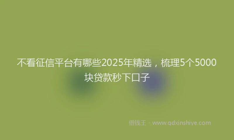 不看征信平台有哪些2025年精选，梳理5个5000块贷款秒下口子