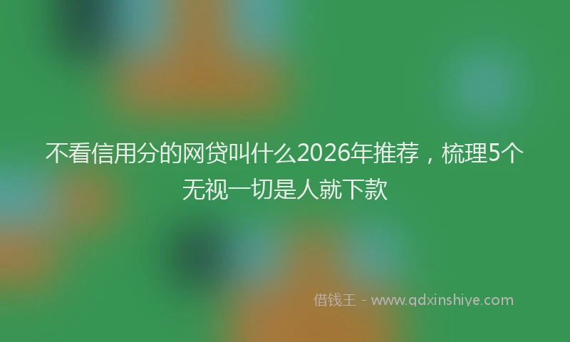 不看信用分的网贷叫什么2026年推荐,梳理5个无视一切是人就下款