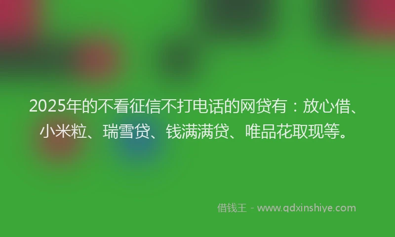 2025年的不看征信不打电话的网贷有：放心借、小米粒、瑞雪贷、钱满满贷、唯品花取现等。
