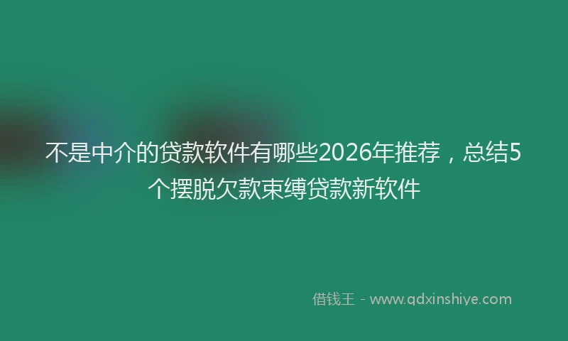 不是中介的贷款软件有哪些2026年推荐，总结5个摆脱欠款束缚贷款新软件