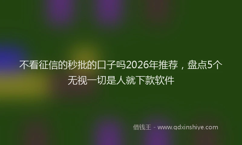 不看征信的秒批的口子吗2026年推荐，盘点5个无视一切是人就下款软件