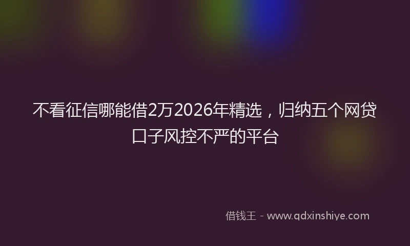 不看征信哪能借2万2026年精选，归纳五个网贷口子风控不严的平台