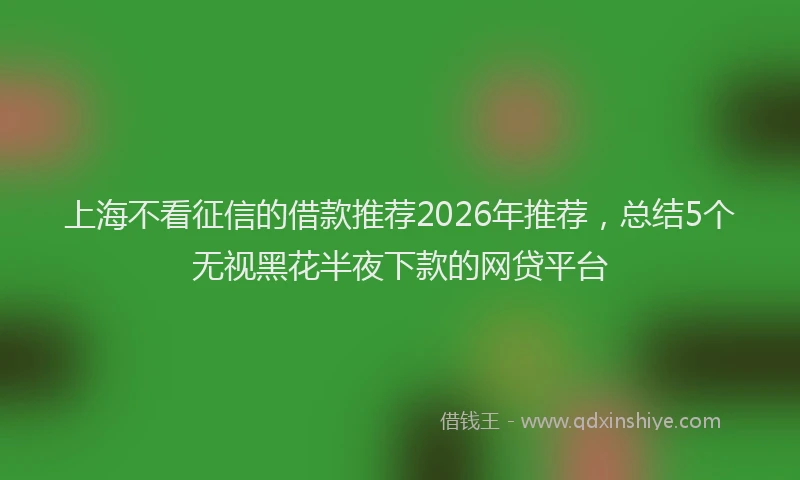 上海不看征信的借款推荐2026年推荐，总结5个无视黑花半夜下款的网贷平台