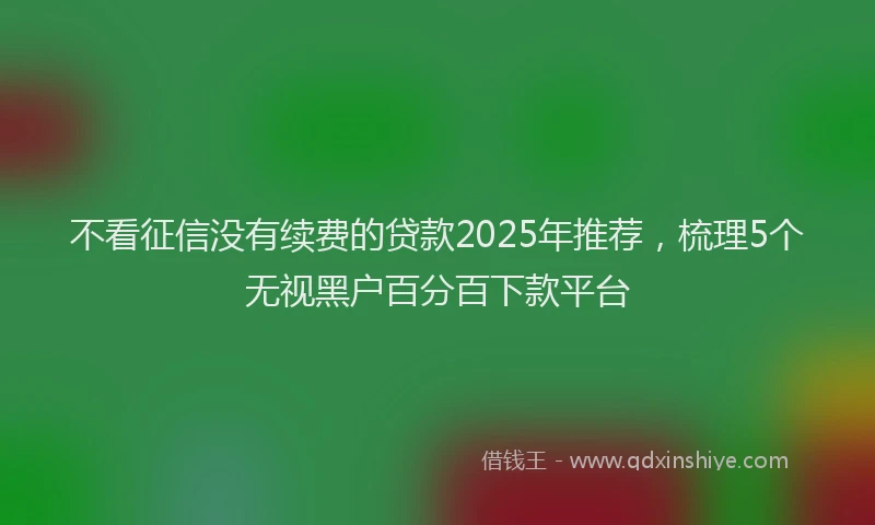 不看征信没有续费的贷款2025年推荐，梳理5个无视黑户百分百下款平台