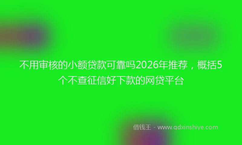 不用审核的小额贷款可靠吗2026年推荐，概括5个不查征信好下款的网贷平台