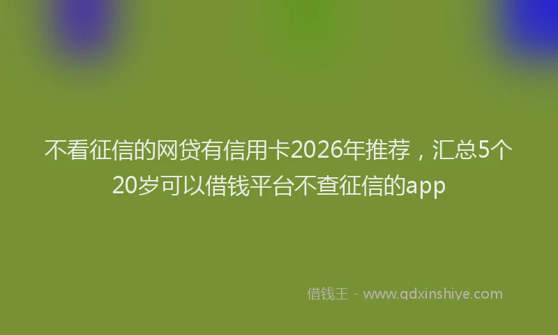 不看征信的网贷有信用卡2026年推荐，汇总5个20岁可以借钱平台不查征信的app