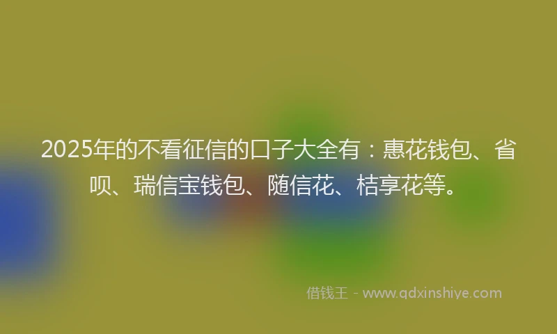 2025年的不看征信的口子大全有：惠花钱包、省呗、瑞信宝钱包、随信花、桔享花等。