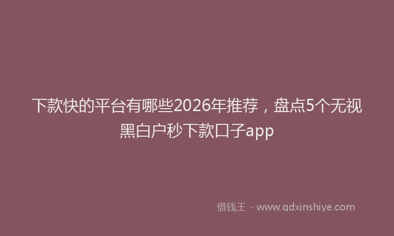 下款快的平台有哪些2026年推荐，盘点5个无视黑白户秒下款口子app