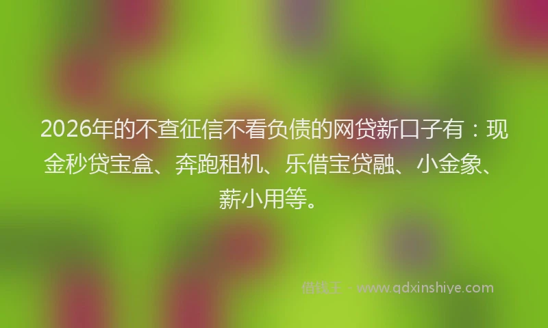 2026年的不查征信不看负债的网贷新口子有：现金秒贷宝盒、奔跑租机、乐借宝贷融、小金象、薪小用等。