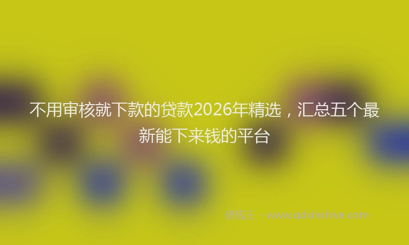 不用审核就下款的贷款2026年精选，汇总五个最新能下来钱的平台