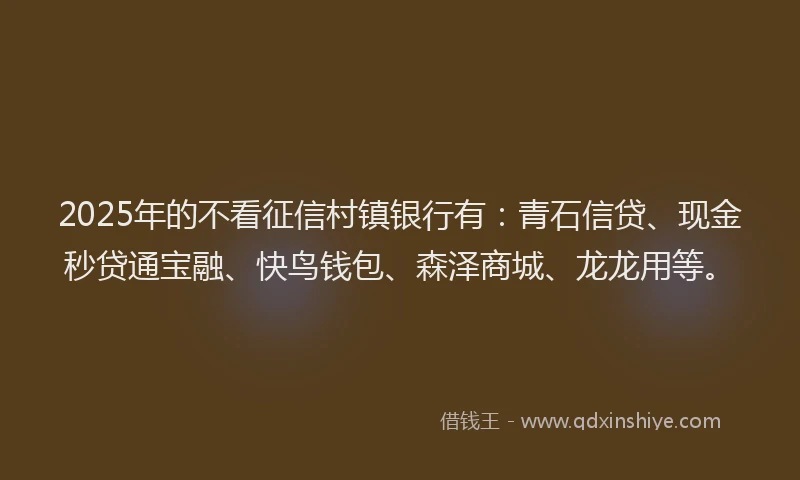 2025年的不看征信村镇银行有:青石信贷、现金秒贷通宝融、快鸟钱包、森泽商城、龙龙用等。