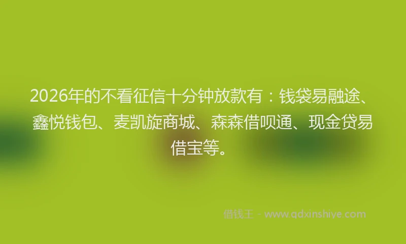 2026年的不看征信十分钟放款有：钱袋易融途、鑫悦钱包、麦凯旋商城、森森借呗通、现金贷易借宝等。