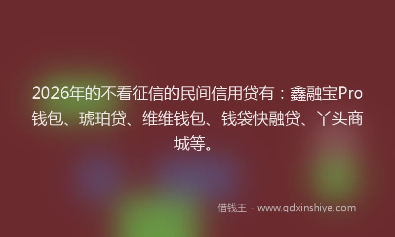 2026年的不看征信的民间信用贷有：鑫融宝Pro钱包、琥珀贷、维维钱包、钱袋快融贷、丫头商城等。