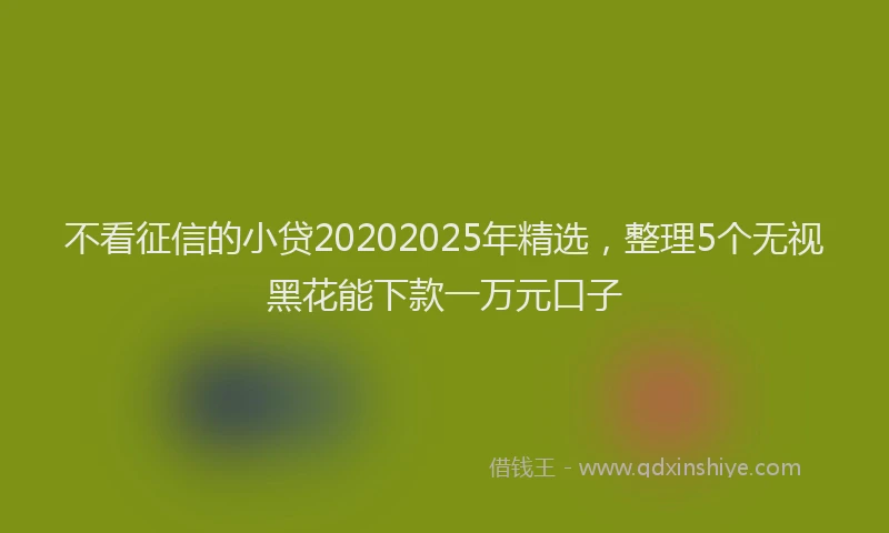 不看征信的小贷20202025年精选，整理5个无视黑花能下款一万元口子