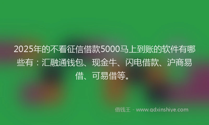 2025年的不看征信借款5000马上到账的软件有哪些有：汇融通钱包、现金牛、闪电借款、沪商易借、可易借等。