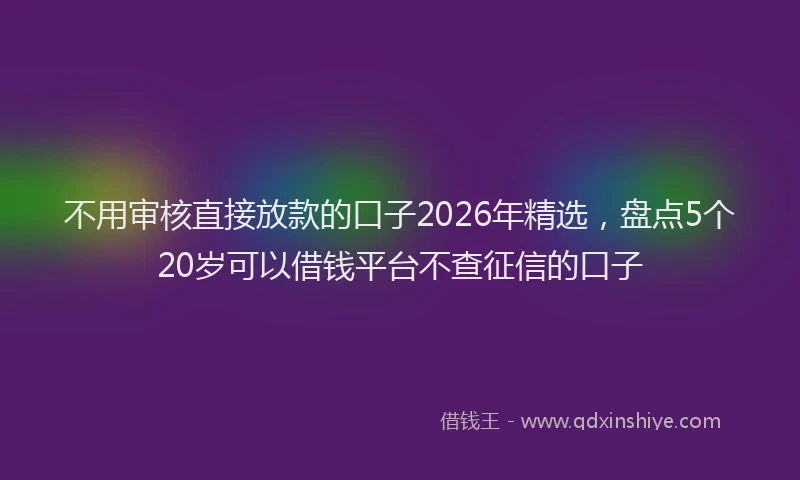 不用审核直接放款的口子2026年精选,盘点5个20岁可以借钱平台不查征信的口子