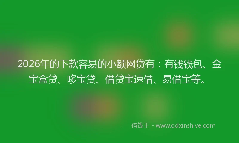 2026年的下款容易的小额网贷有：有钱钱包、金宝盒贷、哆宝贷、借贷宝速借、易借宝等。