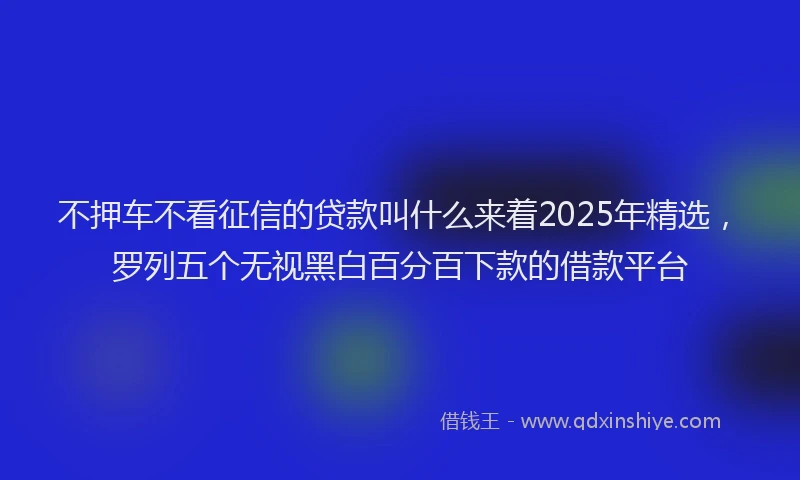 不押车不看征信的贷款叫什么来着2025年精选，罗列五个无视黑白百分百下款的借款平台