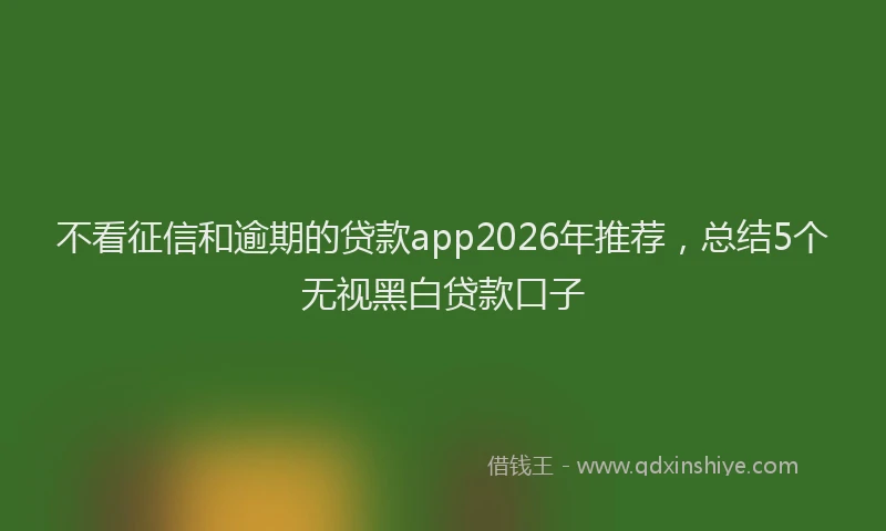不看征信和逾期的贷款app2026年推荐，总结5个无视黑白贷款口子
