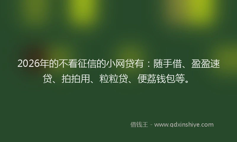 2026年的不看征信的小网贷有：随手借、盈盈速贷、拍拍用、粒粒贷、便荔钱包等。