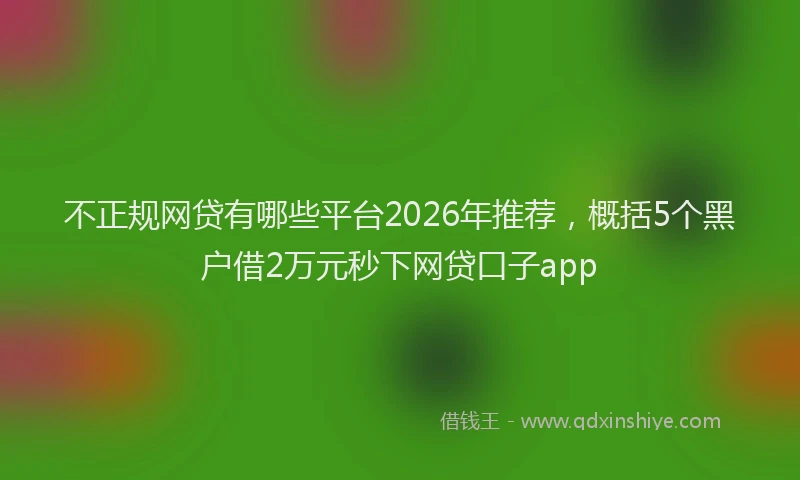 不正规网贷有哪些平台2026年推荐，概括5个黑户借2万元秒下网贷口子app