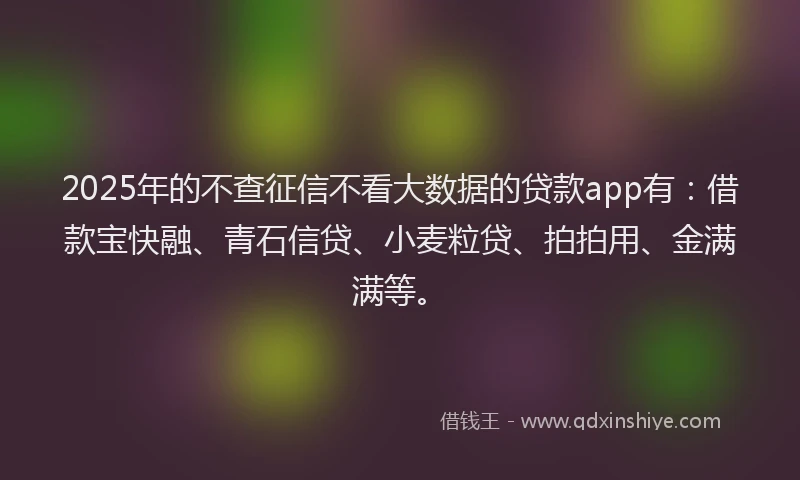 2025年的不查征信不看大数据的贷款app有：借款宝快融、青石信贷、小麦粒贷、拍拍用、金满满等。