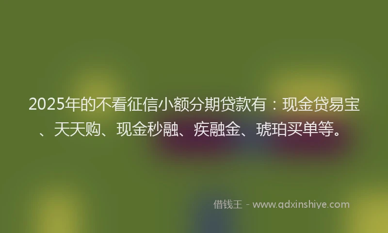 2025年的不看征信小额分期贷款有：现金贷易宝、天天购、现金秒融、疾融金、琥珀买单等。