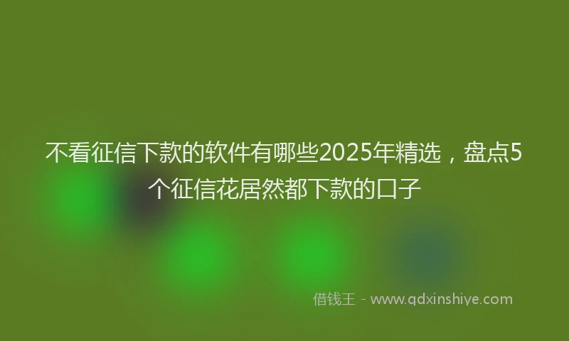 不看征信下款的软件有哪些2025年精选，盘点5个征信花居然都下款的口子