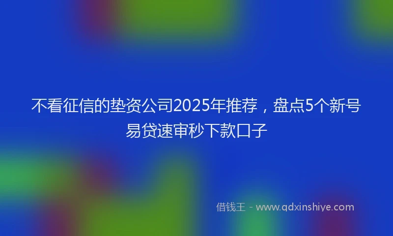 不看征信的垫资公司2025年推荐，盘点5个新号易贷速审秒下款口子