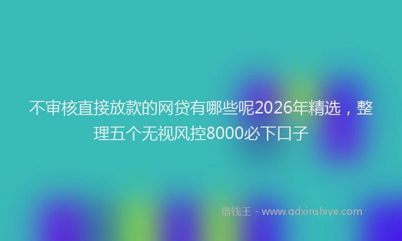 不审核直接放款的网贷有哪些呢2026年精选，整理五个无视风控8000必下口子