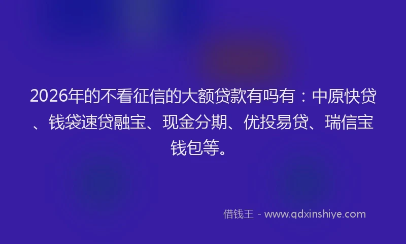 2026年的不看征信的大额贷款有吗有:中原快贷、钱袋速贷融宝、现金分期、优投易贷、瑞信宝钱包等。