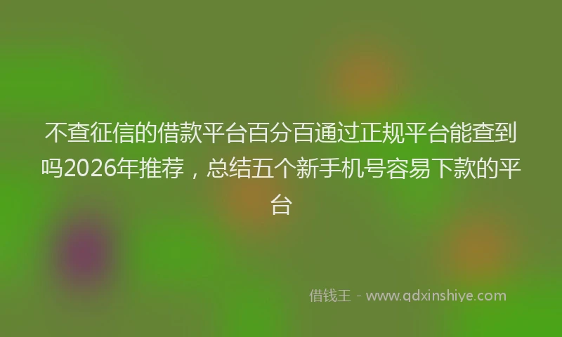 不查征信的借款平台百分百通过正规平台能查到吗2026年推荐，总结五个新手机号容易下款的平台