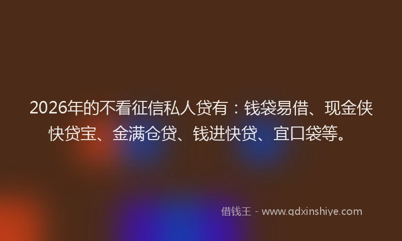 2026年的不看征信私人贷有：钱袋易借、现金侠快贷宝、金满仓贷、钱进快贷、宜口袋等。