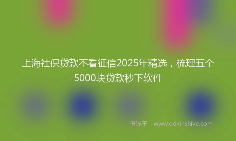 上海社保贷款不看征信2025年精选，梳理五个5000块贷款秒下软件