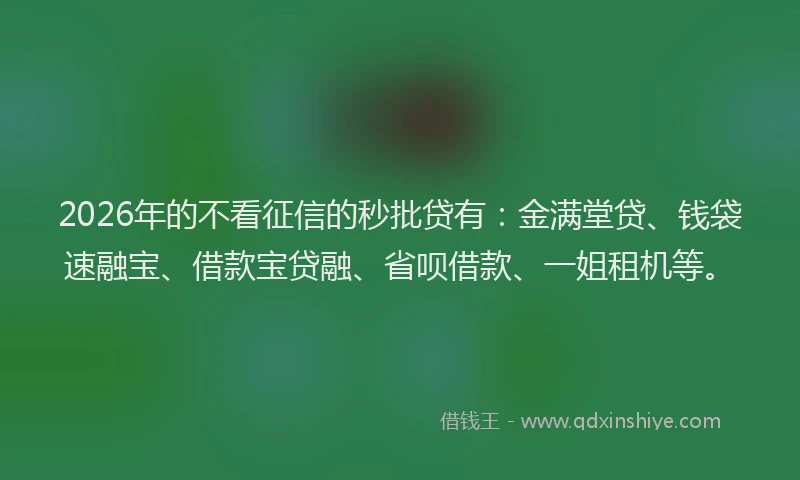 2026年的不看征信的秒批贷有：金满堂贷、钱袋速融宝、借款宝贷融、省呗借款、一姐租机等。