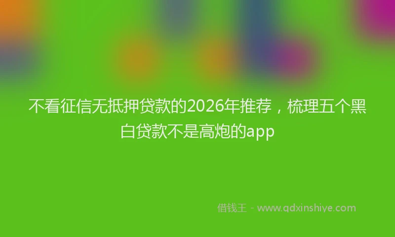 不看征信无抵押贷款的2026年推荐,梳理五个黑白贷款不是高炮的app