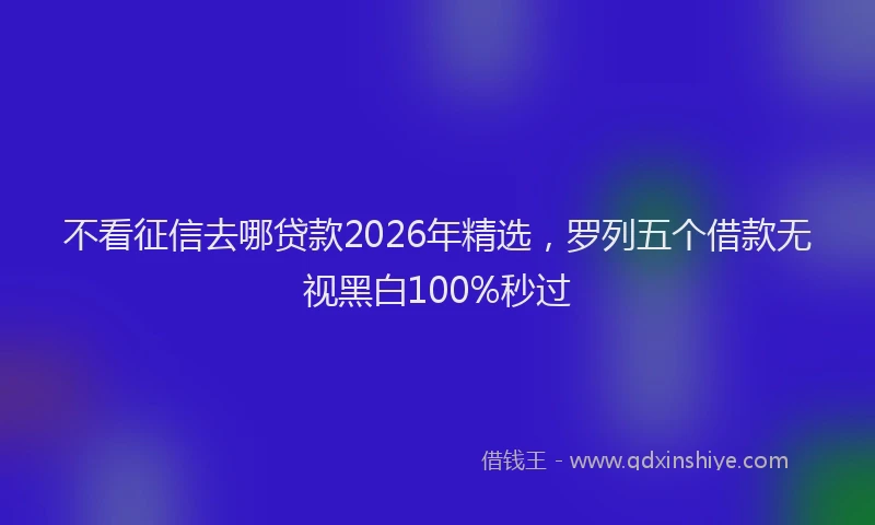 不看征信去哪贷款2026年精选，罗列五个借款无视黑白100%秒过