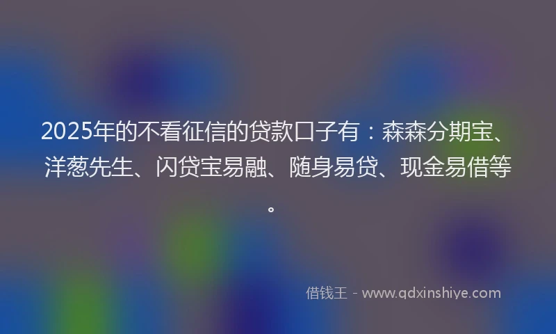 2025年的不看征信的贷款口子有：森森分期宝、洋葱先生、闪贷宝易融、随身易贷、现金易借等。